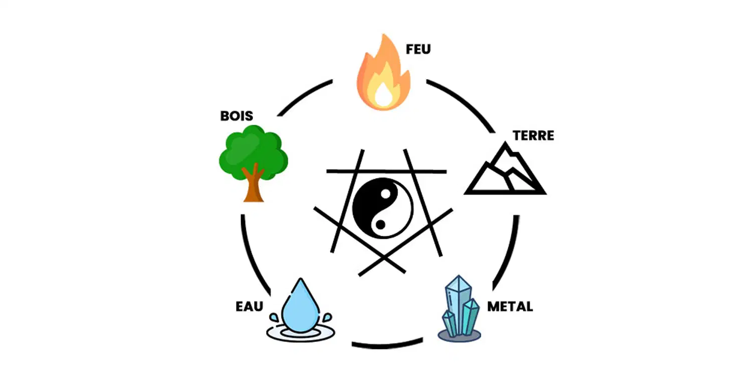 Phytoequilibre théorie des cinq éléments