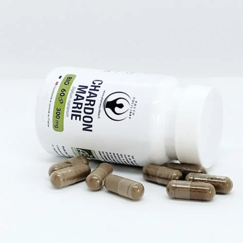 Confort digestif et vitalité : CHARDON-MARIE