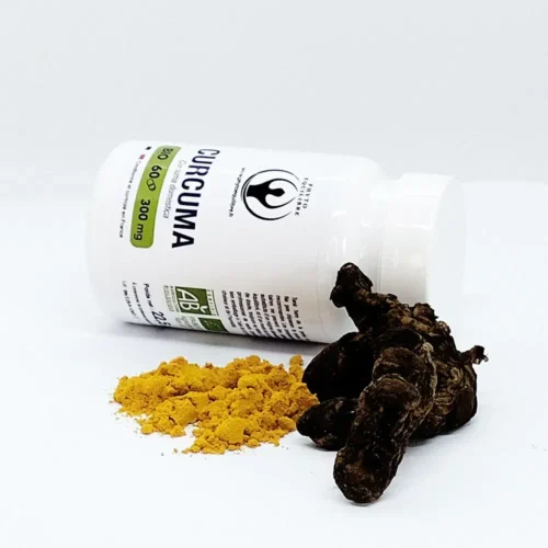 Curcuma 300mg