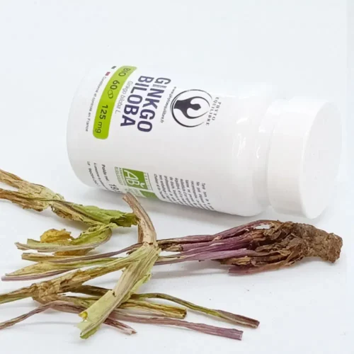 Confort système nerveux : GINKGO BILOBA