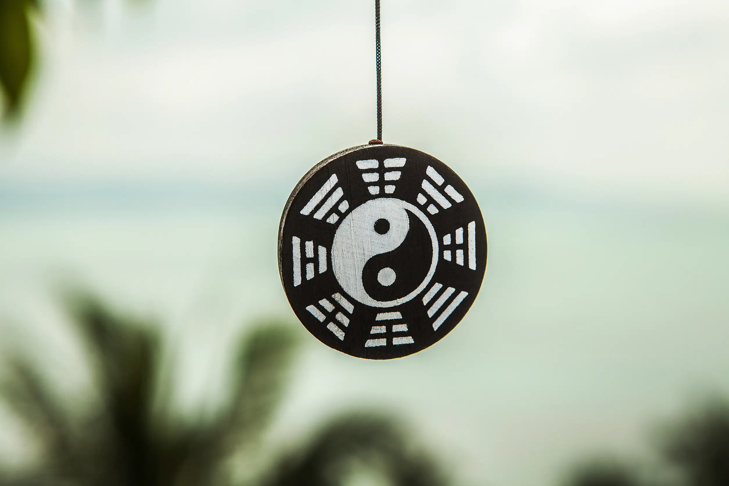 Théorie du yin et yang
